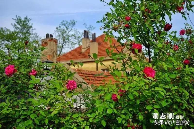 青岛最出名的吃的和玩的地方 (青岛好吃好玩的地方排行榜前十名)