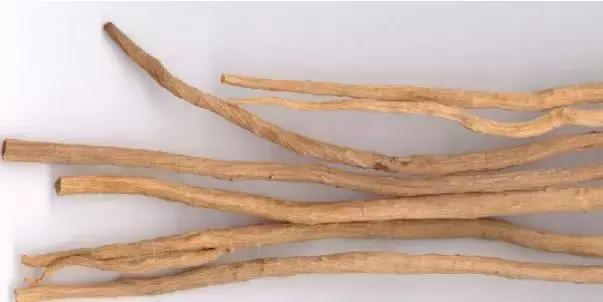 金口河川牛膝基地,金口河川牛膝基地雪景