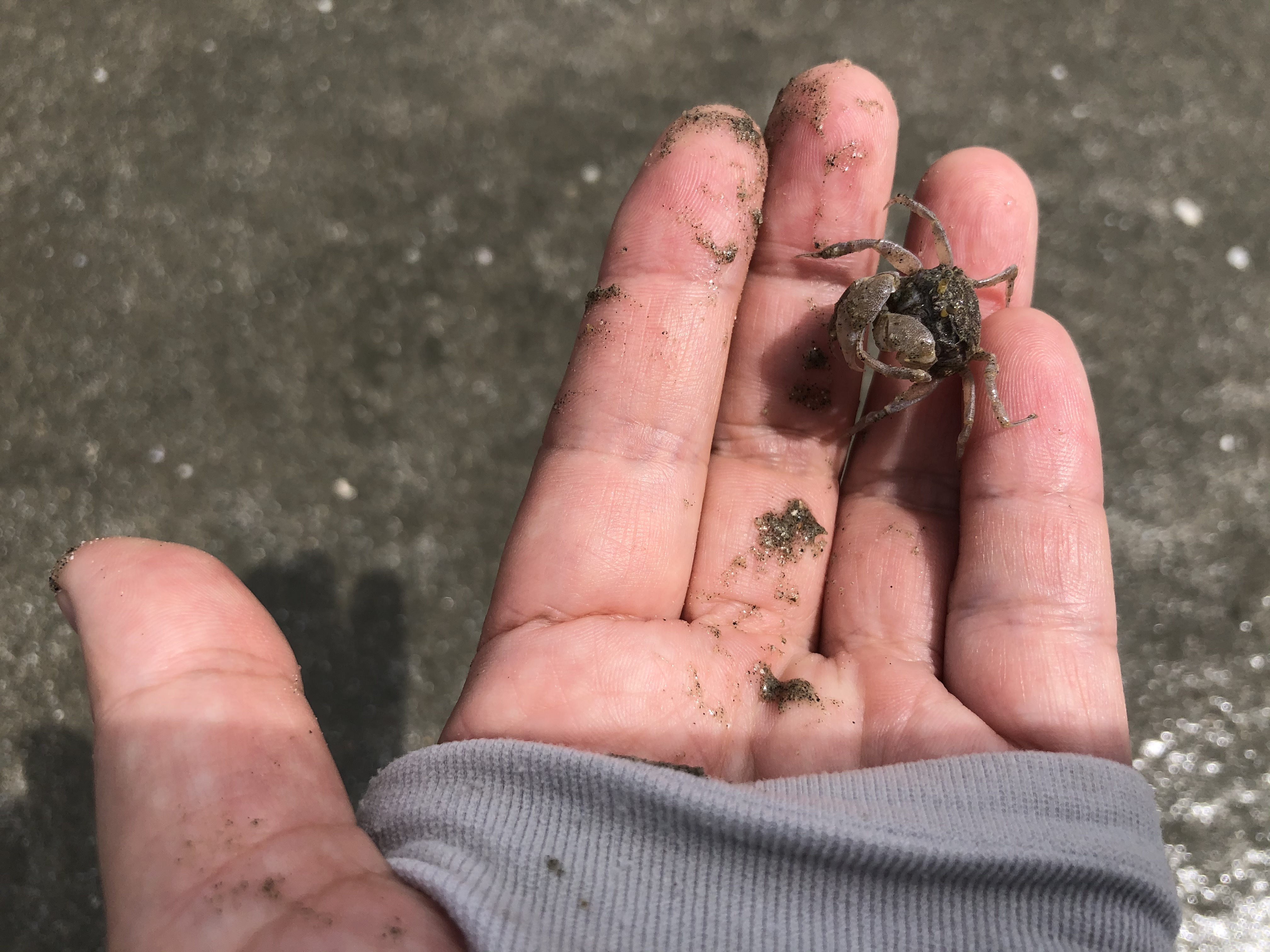 北海跟团游陷阱,低价北海旅游团套路