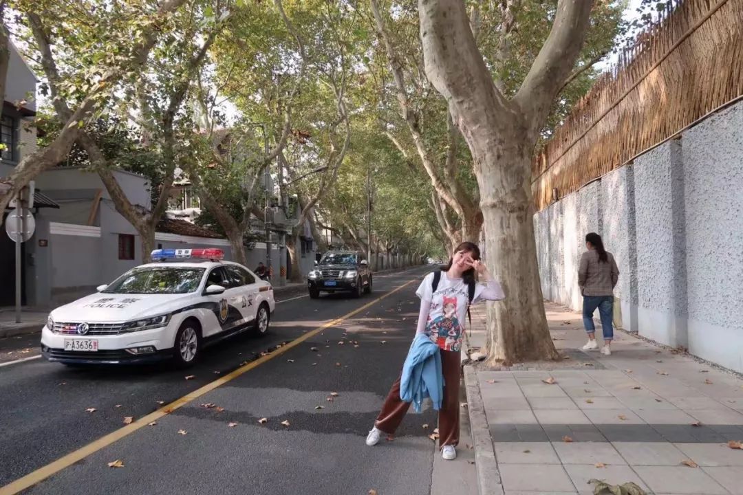 魔都网红马路视频,魔都值得散步的马路