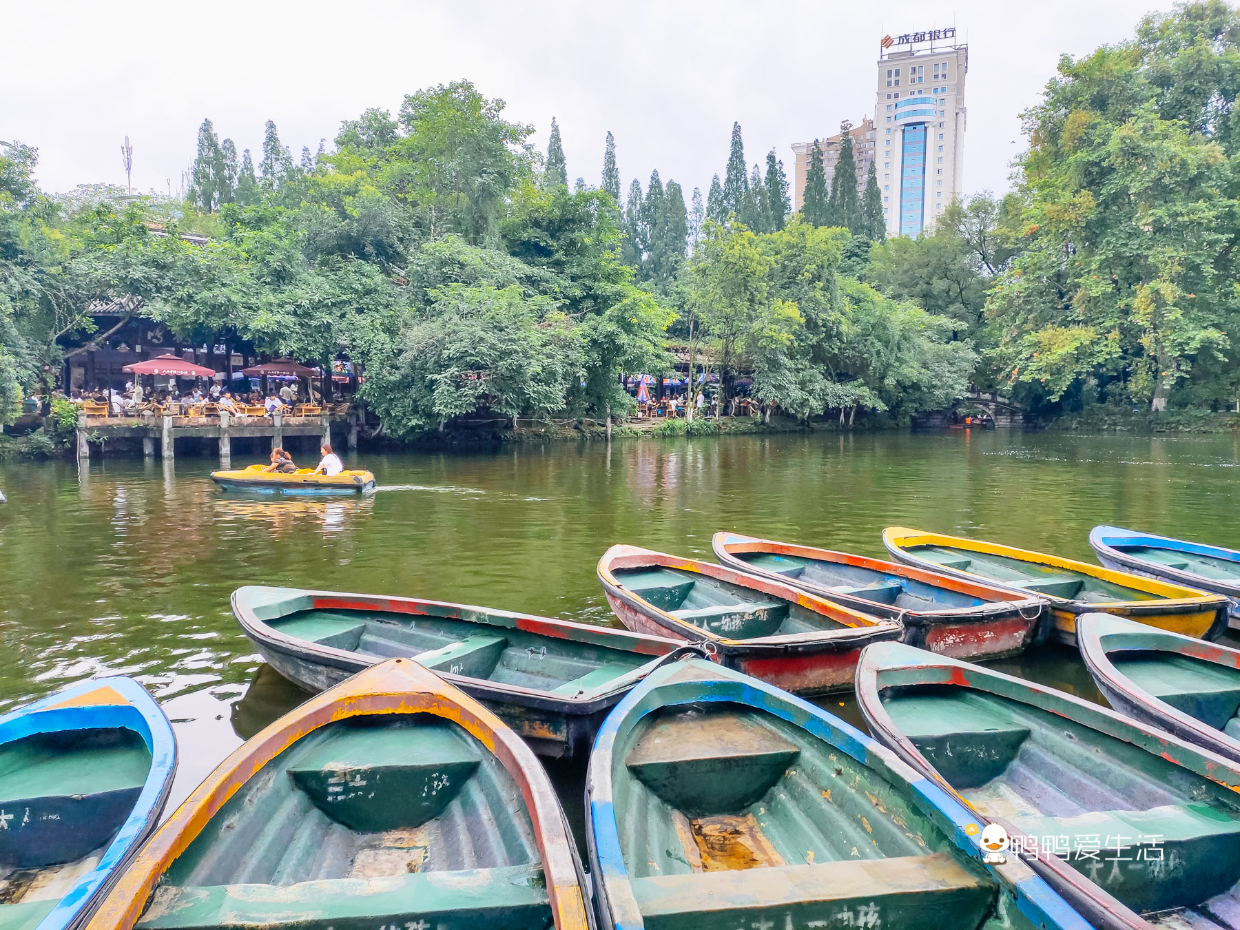 成都人民公园鹤鸣茶舍照片,五一成都人民公园打卡攻略