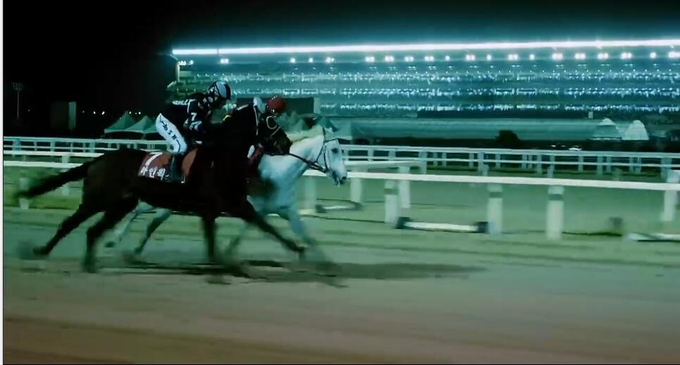 一人一马攀登高峰望故乡完整版,一人一马励志电影