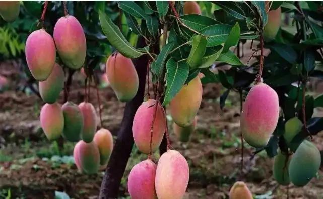 成都怎么过冬的,成都人冬天喜欢去哪过冬