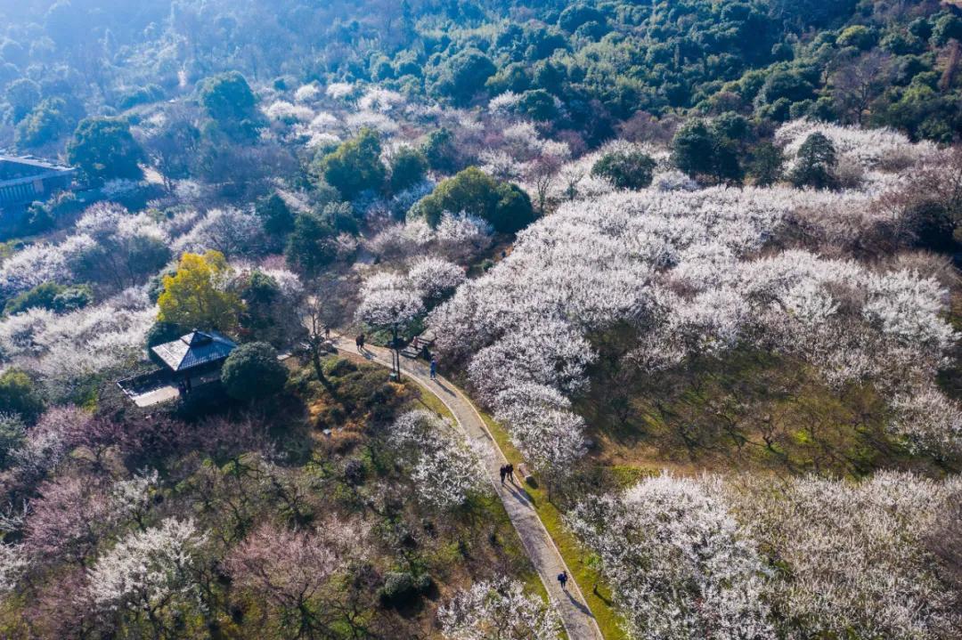 杭州适合拍照风景区,杭州最值得打卡的风景区