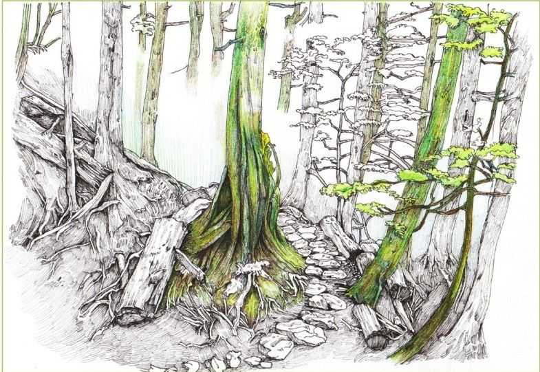 彩铅入门基础教程风景画,彩铅风景画教程简单入门