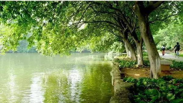 三水芦苞温泉度假村有什么泉,三水芦苞温泉与高明美的鹭湖温泉