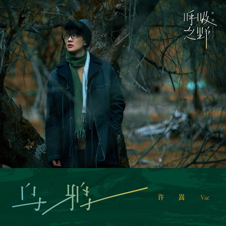 许嵩专辑呼吸之野实体专辑,许嵩呼吸之野哪首歌最好听