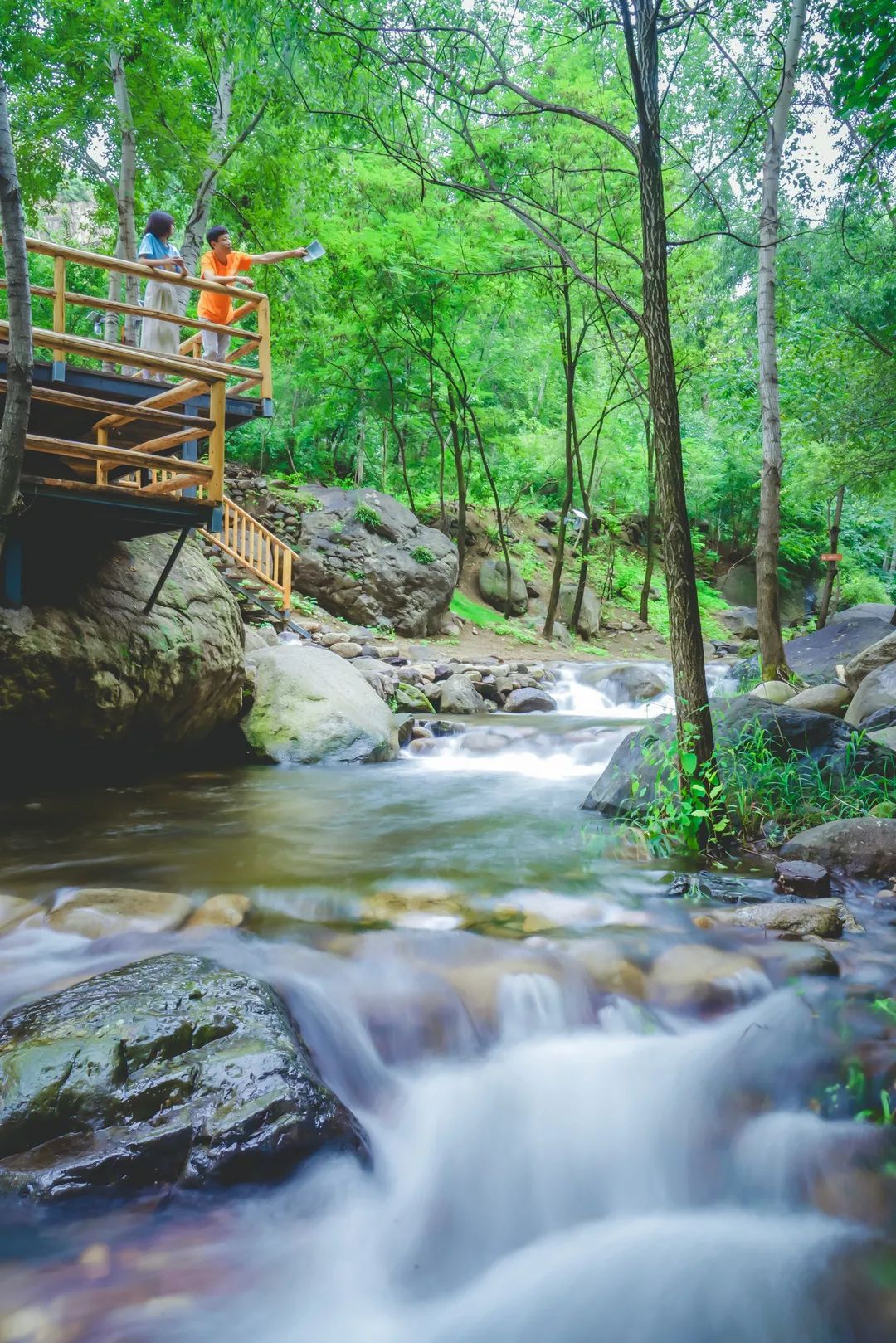 七夕仲夏夜｜星空晚宴×丹青情书×入梦山水……雾灵山居C位浪漫
