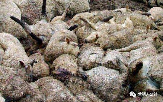 为什么要找到产品的卖点,你的产品为什么找不到卖点