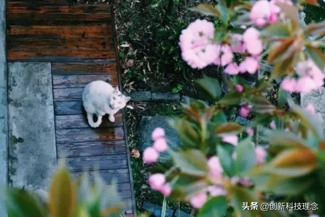 梁冬对人的忠告,梁冬关于睡眠的话题