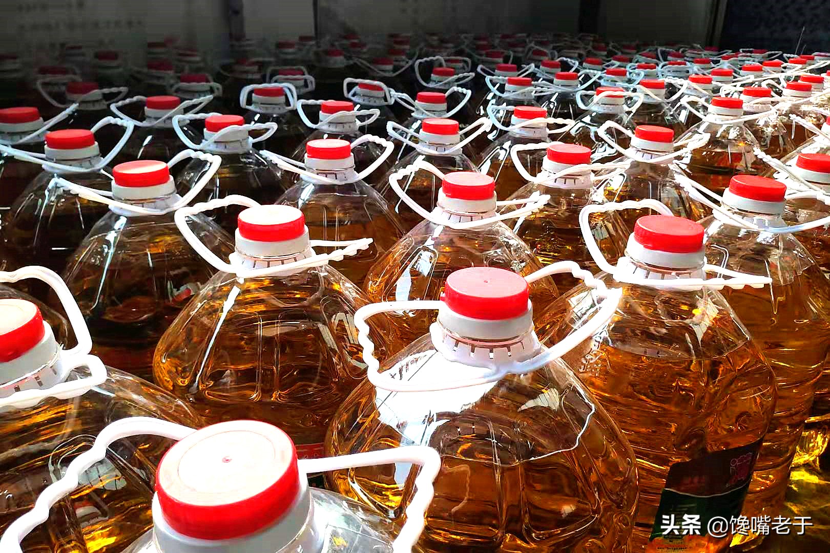 不同类型的食用油有什么区别,同一种食用油为什么颜色不一样