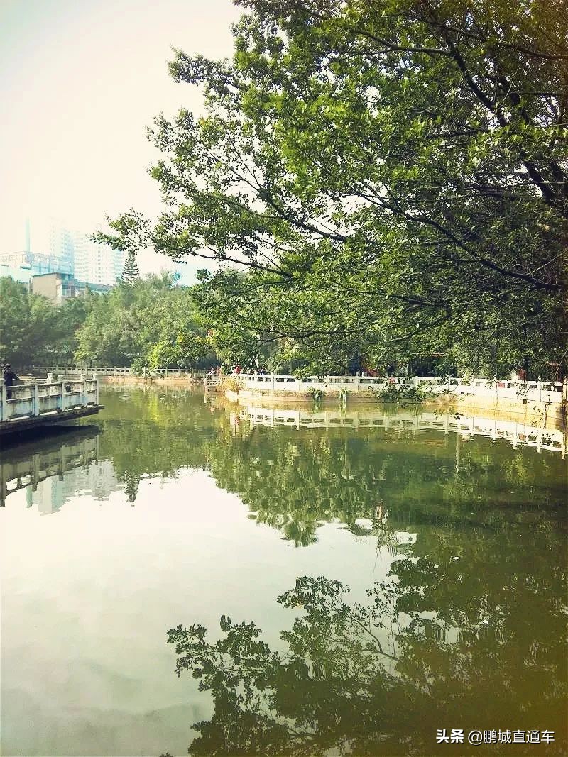 龙岗附近好玩的古镇,天长龙岗古镇一日游攻略