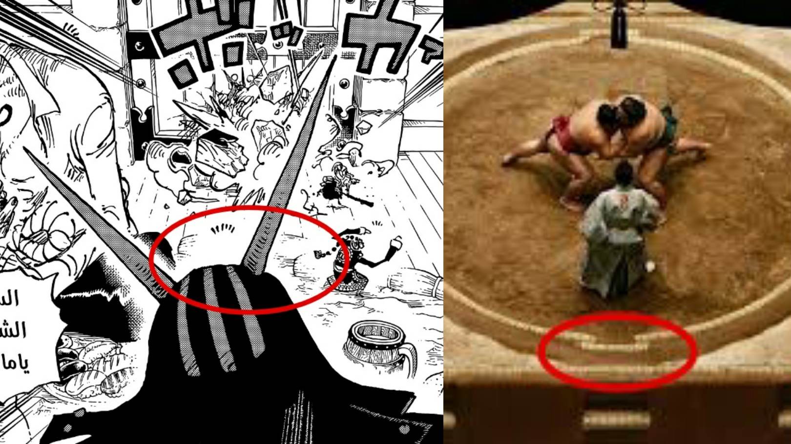 海贼王1031话情报图,海贼王1031话全