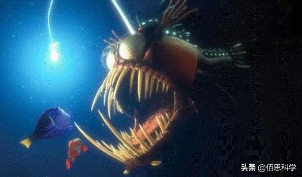 乌合麒麟给孟晚舟画的画图片,乌合麒麟孟晚舟作品解读