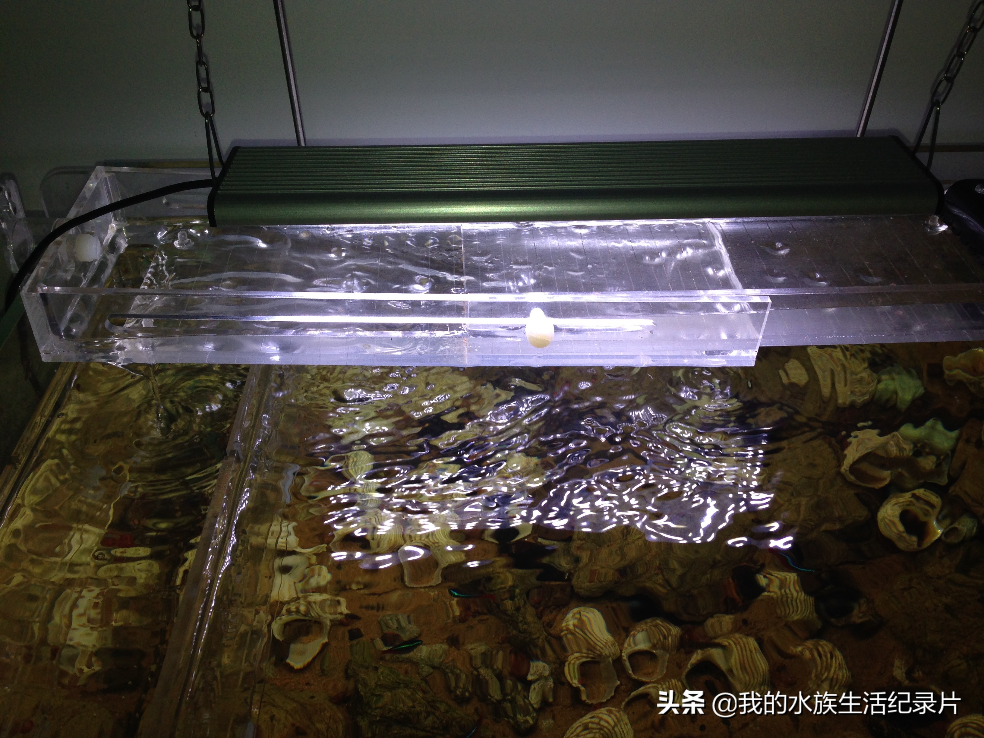 亚克力板鱼缸过滤器自制纯手工,亚克力壁挂鱼缸过滤器制作