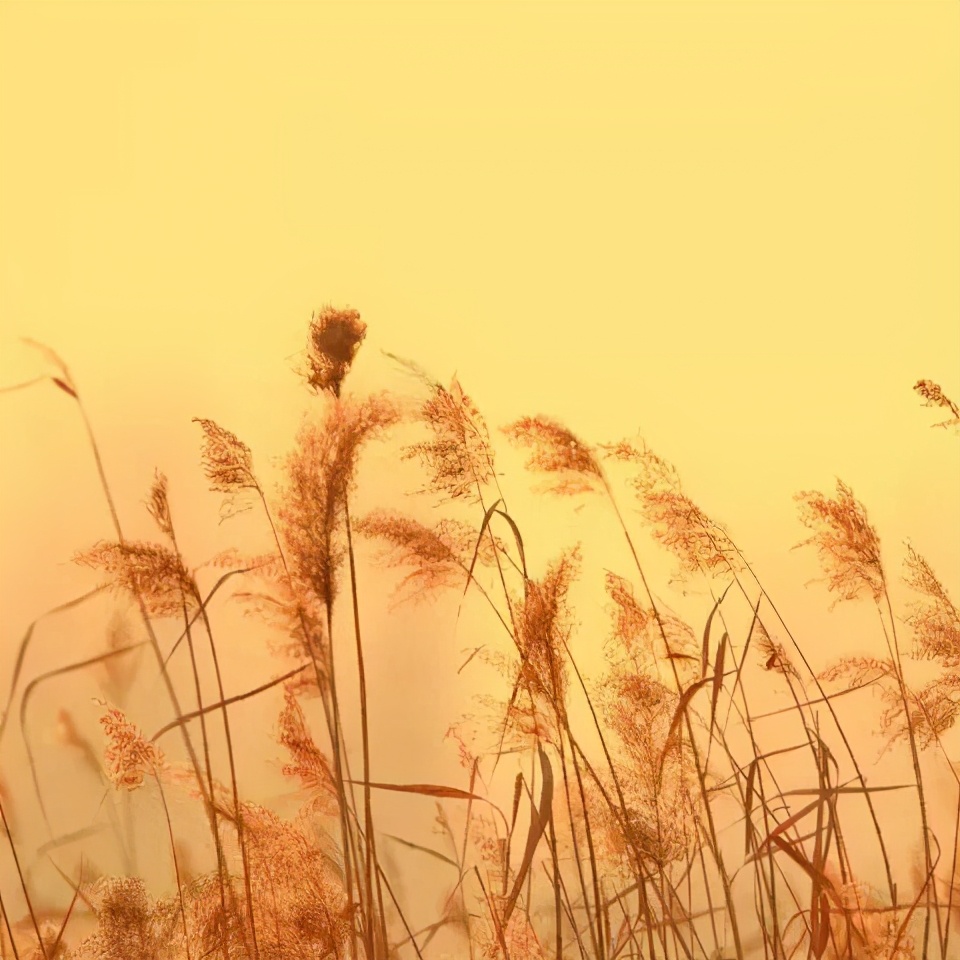 苏州东山西山包吃住农家乐推荐,苏州西山林屋洞附近包吃包住民宿