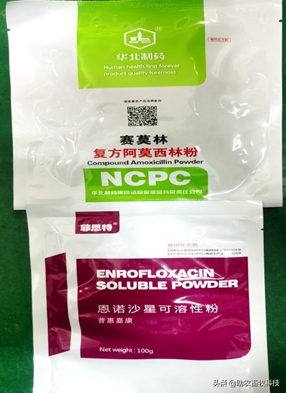 猪场10种常见疾病的症状以及用药防治方案