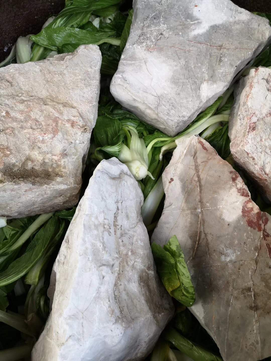 吃腌菜，有助于提高我们身体战胜疫情的免疫力？文/王珉