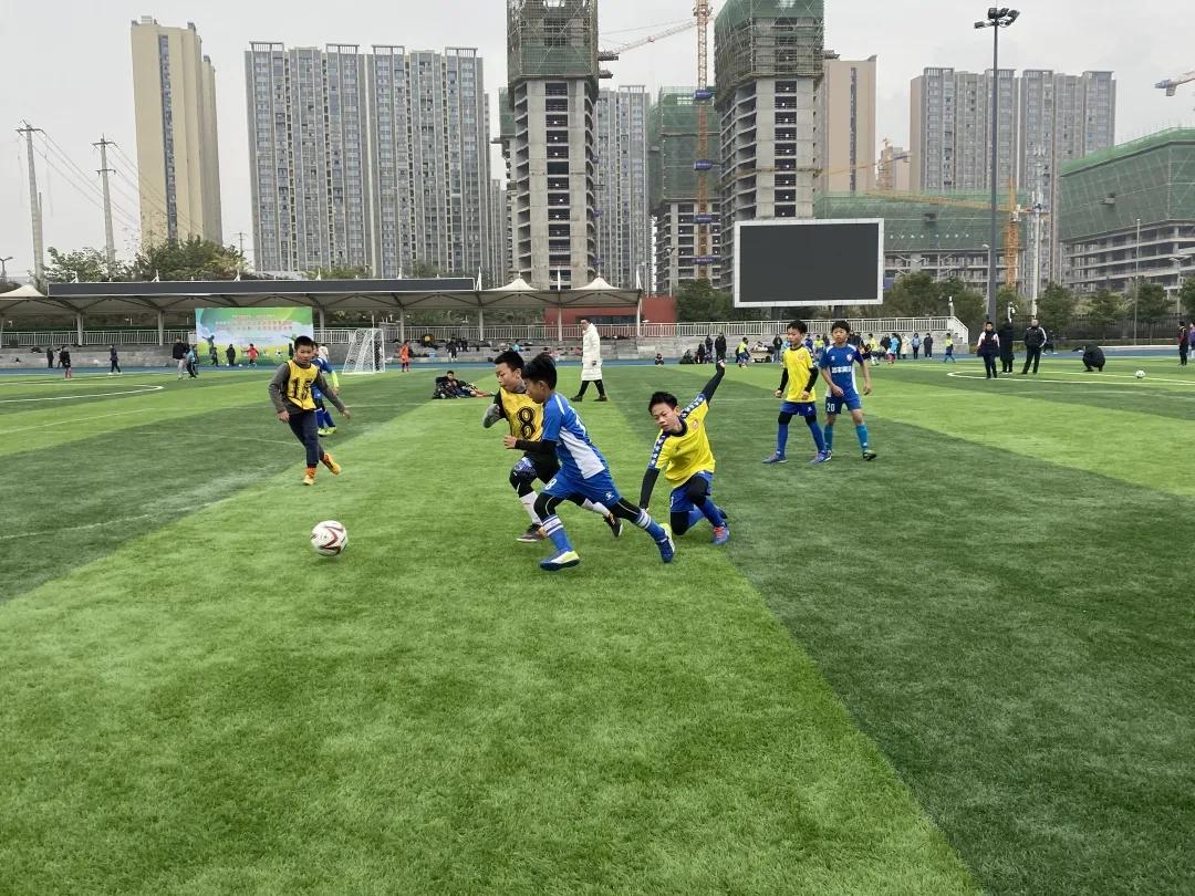 成都天府新区大林小学足球赛,天府杯足球比赛华阳小学