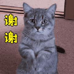 永春公交可以微信扫码支付吗,永春公交车能刷卡吗