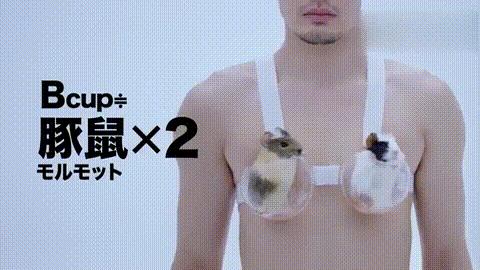 一个正经的问题：不同*杯罩**的「乳房」有多重？