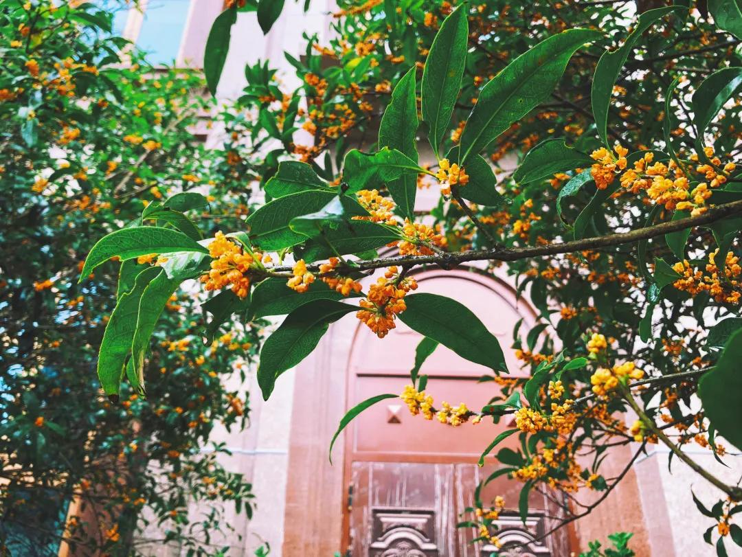 贵阳观山湖万科翰林楼盘视频,观山湖tod万科翰林