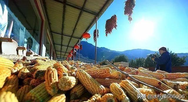 农民返乡创业有哪些好项目可以做,返乡创业扶持项目政策