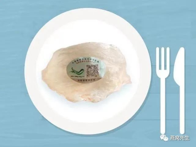 燕窝没有黑毛是好燕窝还是差燕窝,燕窝怎么选你真的了解燕窝吗