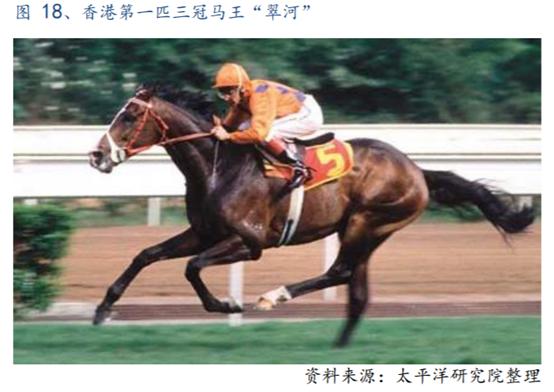 体育行业报告,体育赛马项目介绍