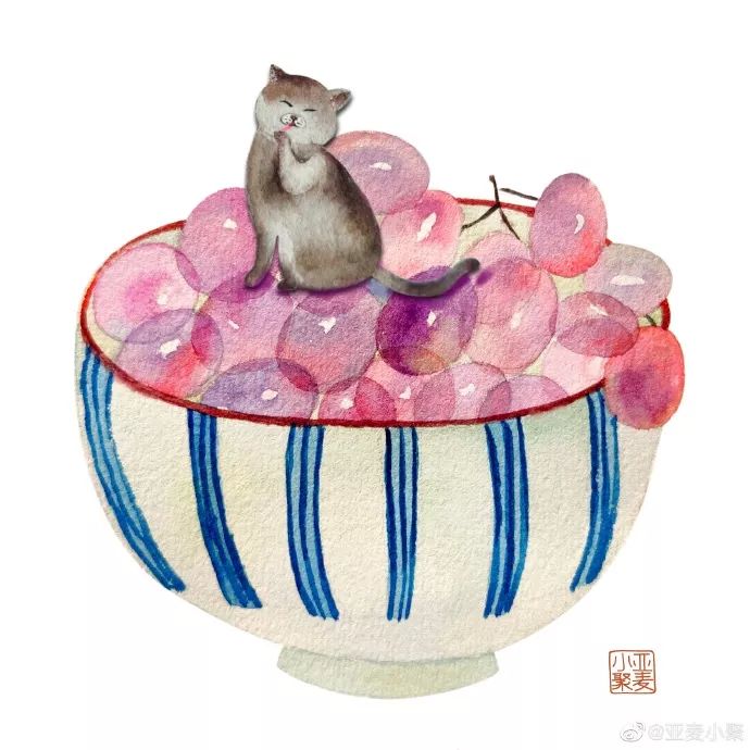 可爱的橘猫插画,一组可爱的治愈系猫咪插画