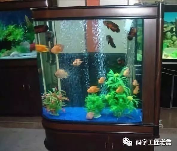 北京新发地花卉创意园,北京城南创意花卉园