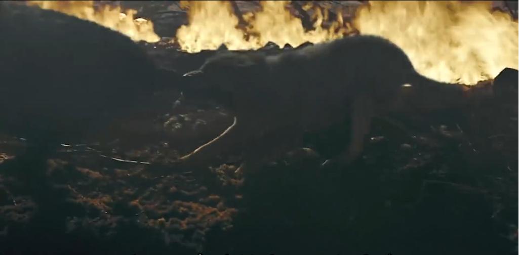 放羊老头跑了三天三夜,放羊老人和狼王