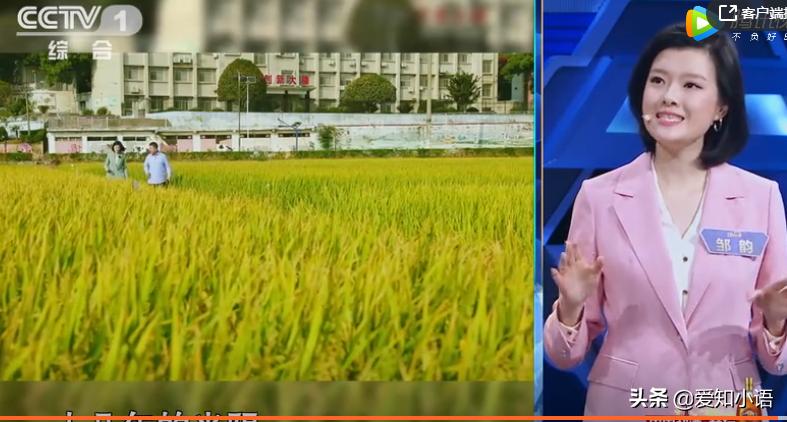 央视主持人大赛邹韵总决赛视频,主持人大赛2019邹韵袁隆平全过程