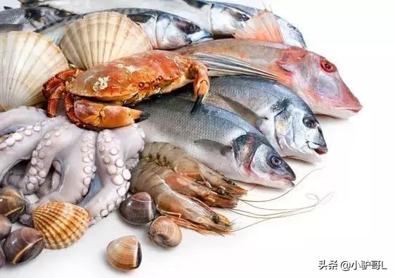 海鲜干货推荐烟台店有哪些,烟台海鲜干货怎么挑