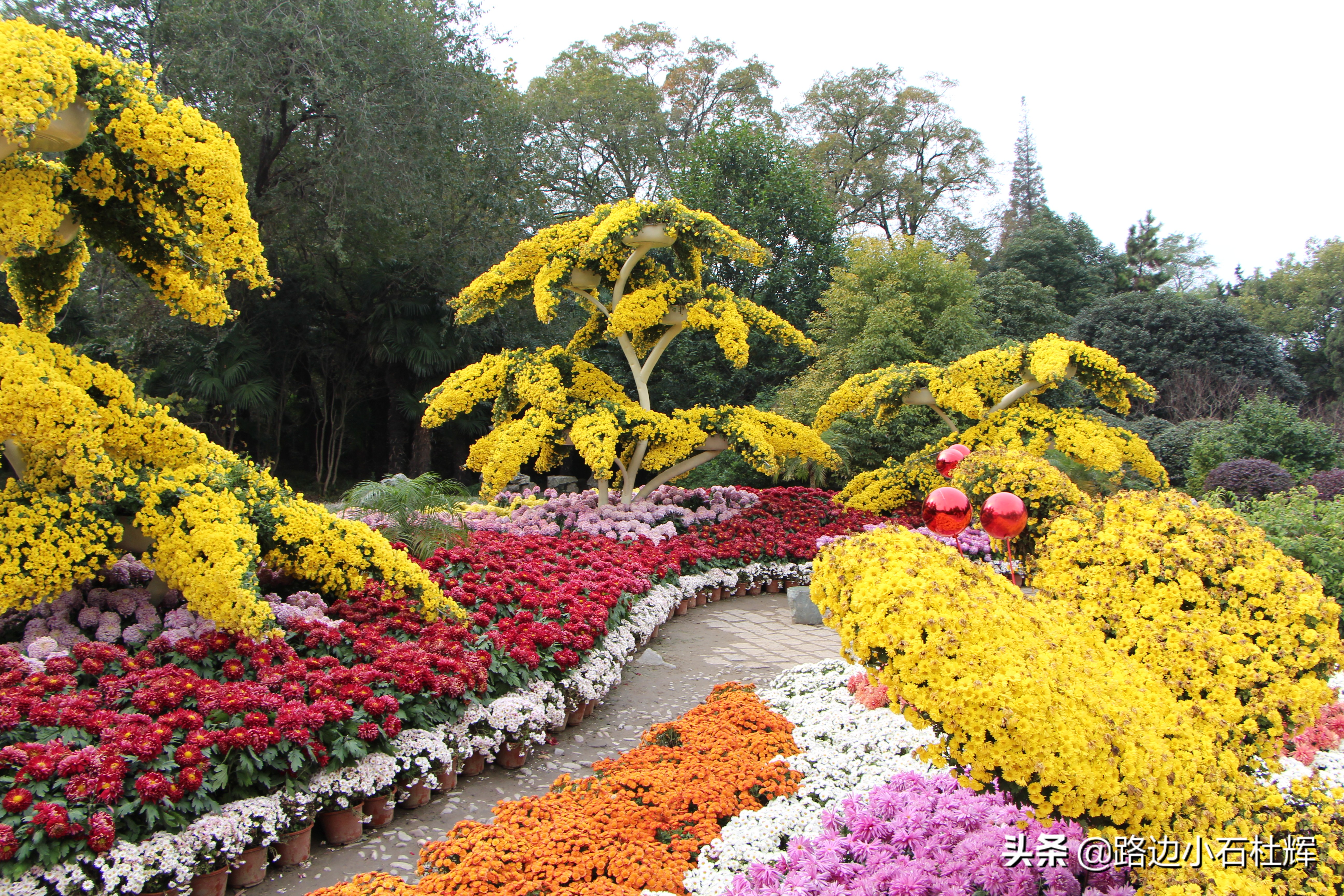 扬州瘦西湖之行,扬州瘦西湖游一圈