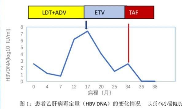 替诺福韦治疗乙肝耐药率,最新乙肝阻断口服国产替诺福韦