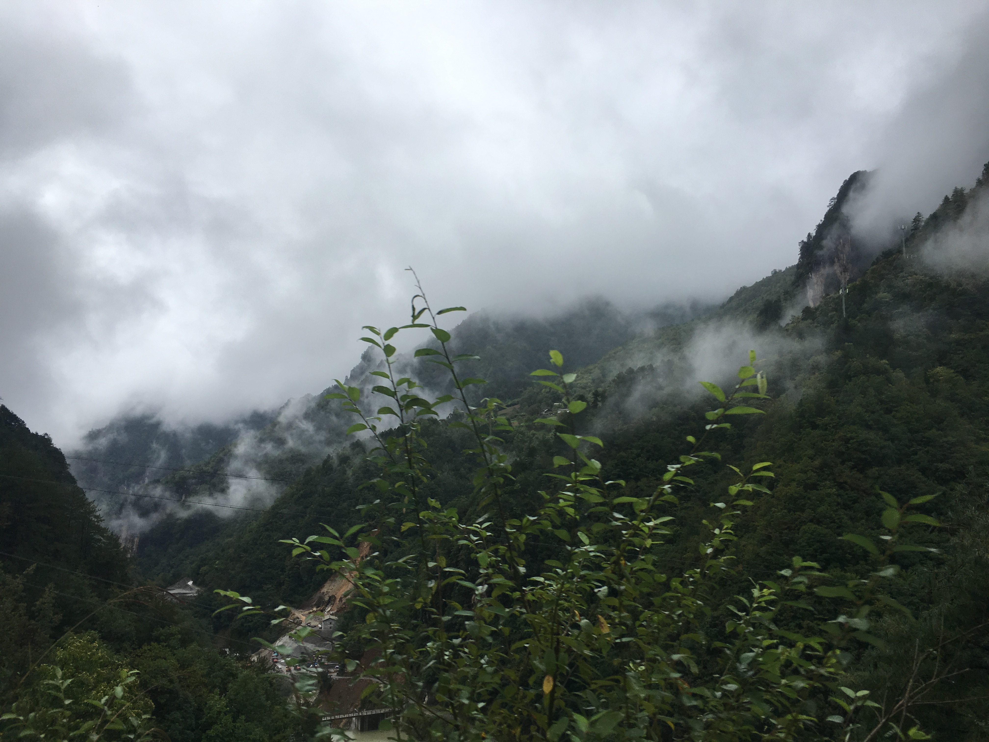 雨中神农架探秘之旅｜国庆节节武汉至神农架自驾游攻略分享