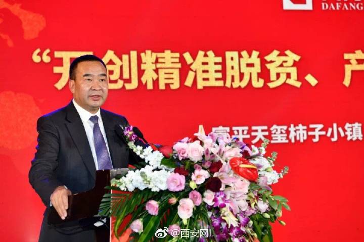 天玺柿子小镇富平柿饼,正宗陕西富平天玺柿饼