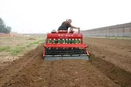 今年种小麦还需拌药吗,今年种小麦用什么药