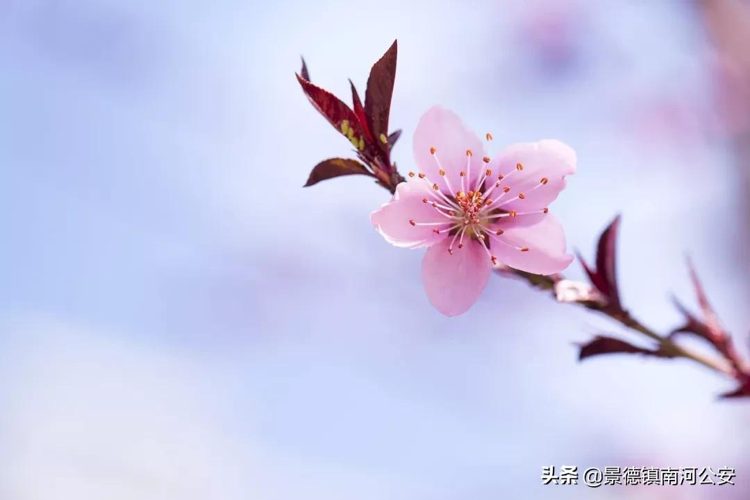 愿你越来越好的诗句,愿你不负时光的经典诗词
