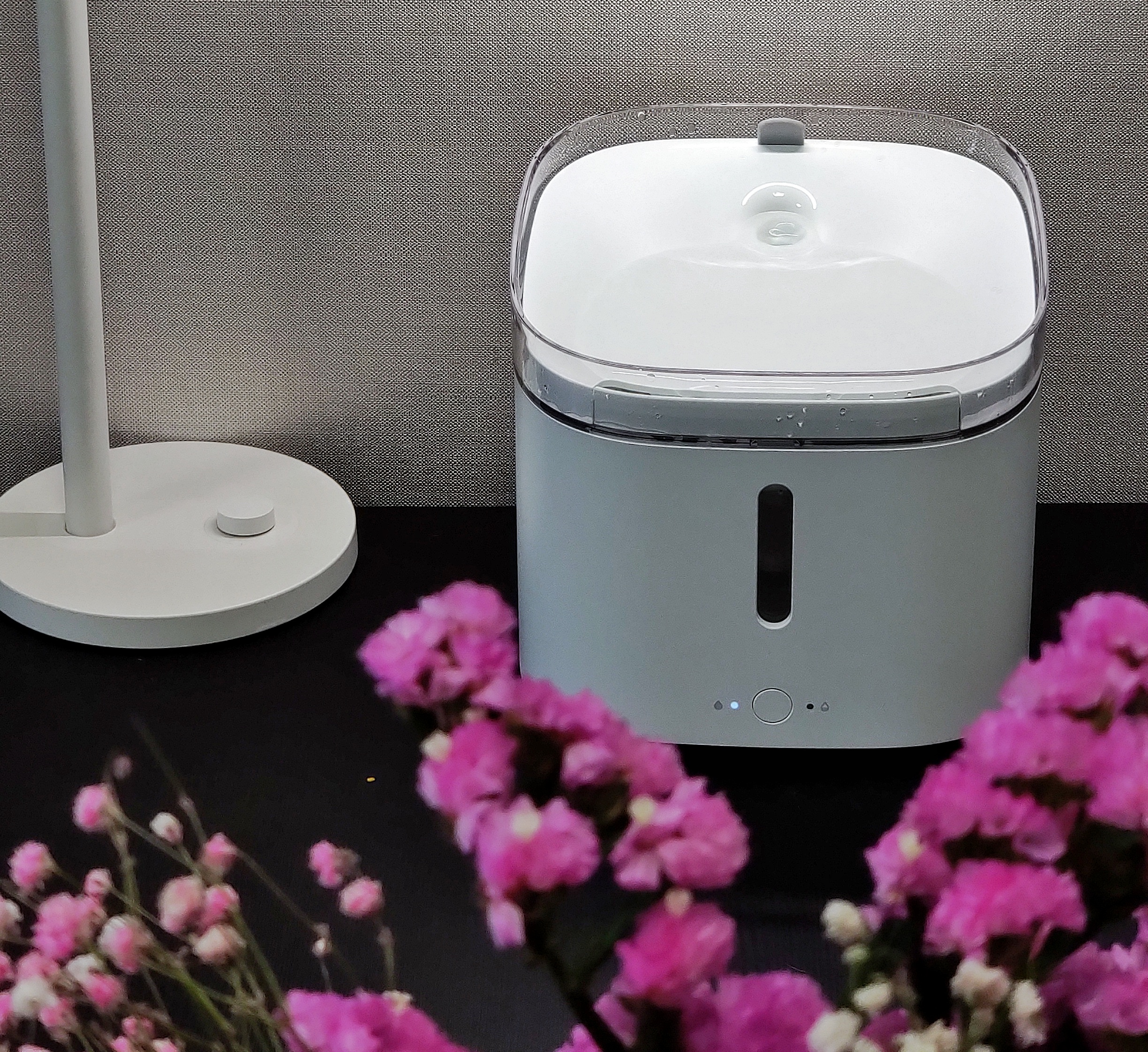 幼猫可用的猫咪饮水机,如何让猫咪学会用猫咪专用饮水机