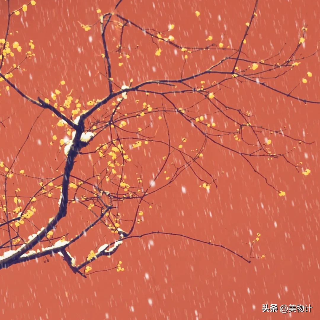 有冬要来有雪入怀泣不成声,有冬要来有雨入怀