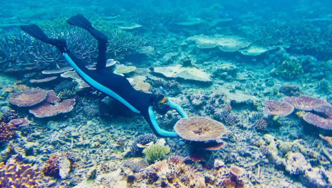 绉戝鐮旂┒姘磋洯,绉戝姘磋洯鐮旂┒