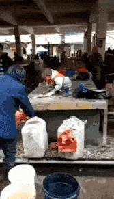 遛狗搞笑图片把主人鞋都追掉,遛狗被猫砸中