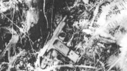 东北二王覆灭记大揭秘,90年代东北二王犯罪事件