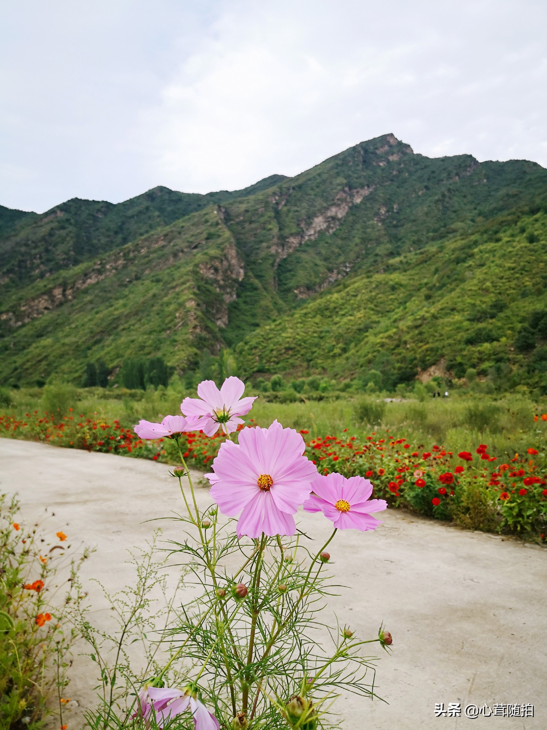 自驾白河湾,白河湾自然风景区自驾