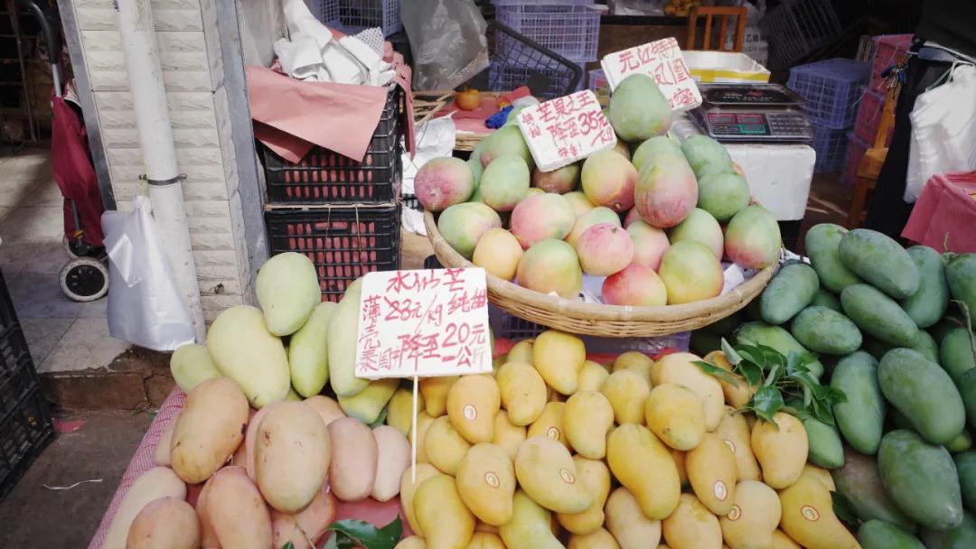 出发四季如春之地昆明,云南昆明攻略冬天