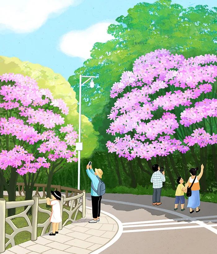 插画师运营自媒体入门课程,插画师怎样运营自己