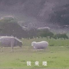 买燃气热水器需要问什么避免被坑,买燃气热水器怎么避免被坑