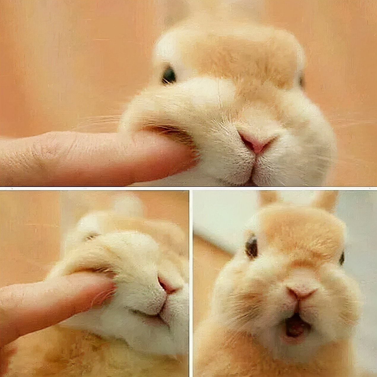 奶fufu女孩，怎么让颜值发挥到巅峰